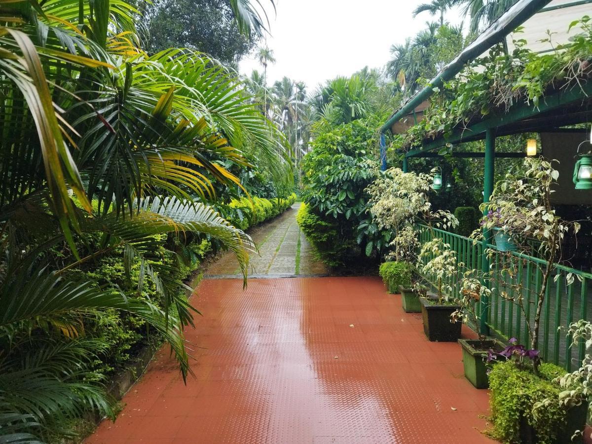 Wayanad Green Park Resort Ambalavayal Экстерьер фото