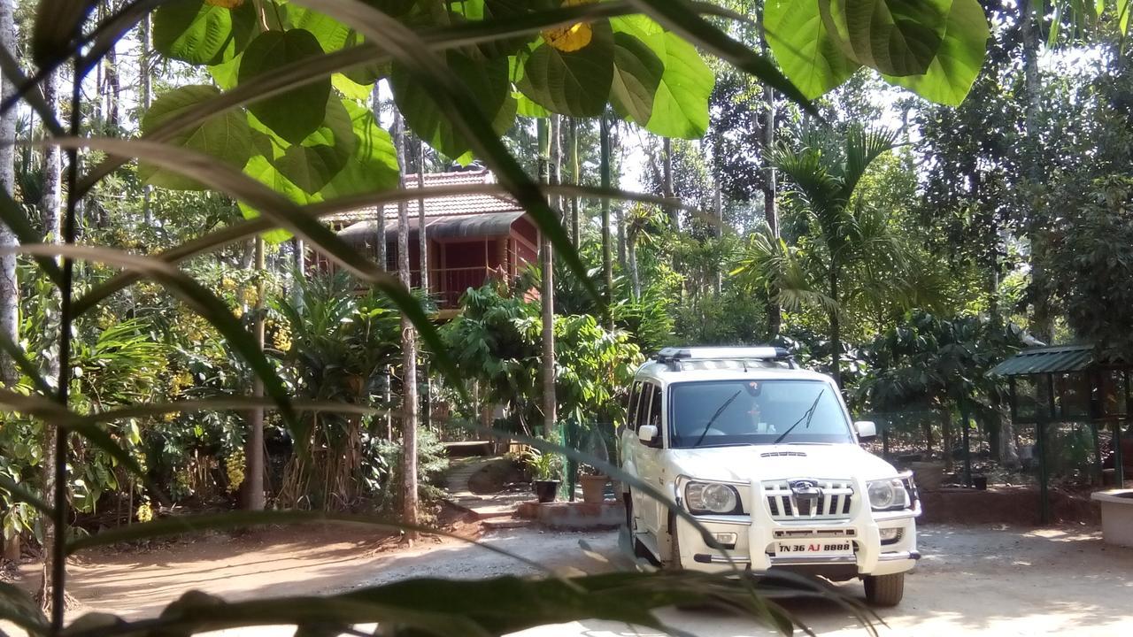 Wayanad Green Park Resort Ambalavayal Экстерьер фото